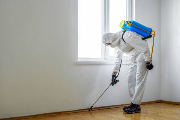 Pest Prevention Services in Fincastle, TN