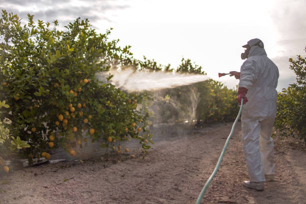 Fincastle, TN Pest Control Company