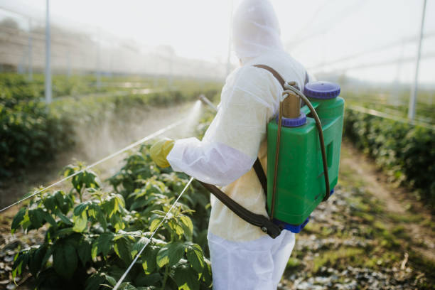 Best Insect Control  in Fincastle, TN